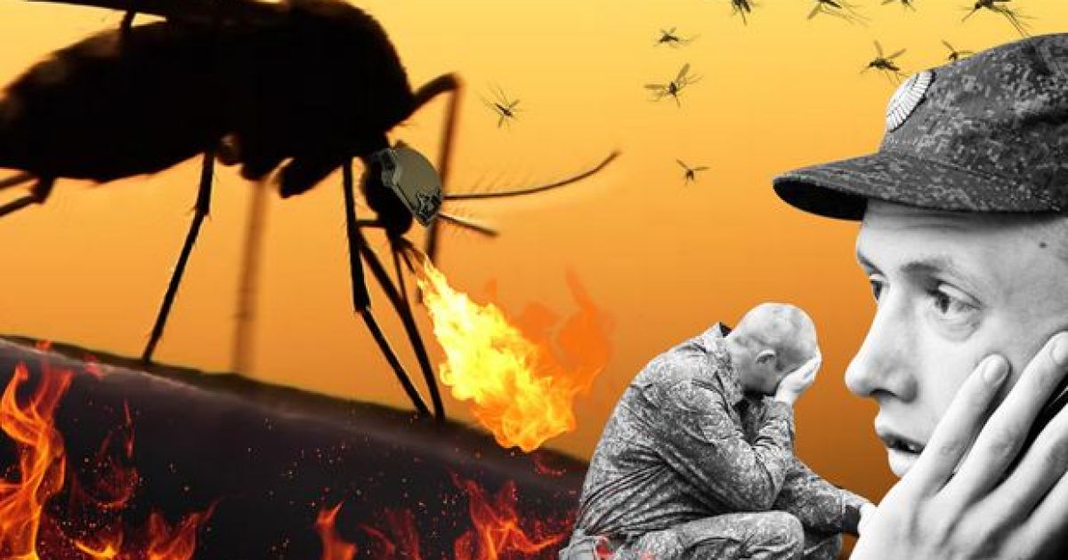 боевой комар
